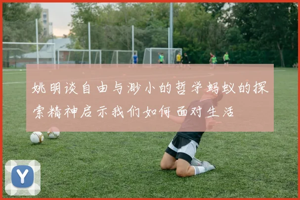 姚明谈自由与渺小的哲学蚂蚁的探索精神启示我们如何面对生活